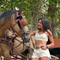 labimbadellacarrozza