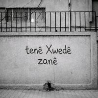 stolzer_yezide77