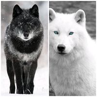 papa_mit_herz_und_seele