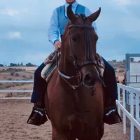 original sound - nayala_dresagee