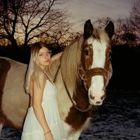 wuschel.pony