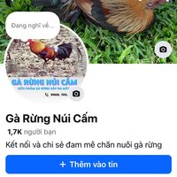 nhạc nền - Sơn Hà (Điện Biên)