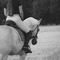 findet.doriee