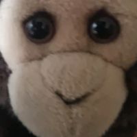 monke_112233