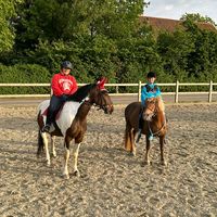 ponyhof.y.j