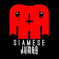 siamese.jumbo
