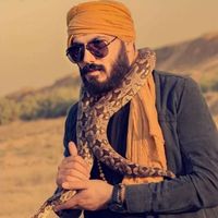 الصوت الأصلي