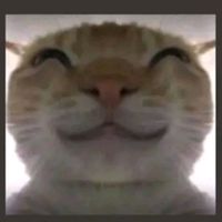 krocanek