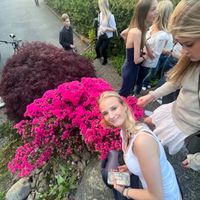 violavonasek_