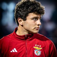 o_teu.benfiquista.fav
