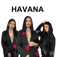 havanaa.ro