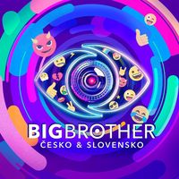 bigbrothercs