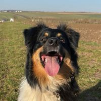 myanimalworld08