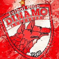 doar.dinamo.bucuresti1