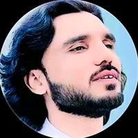 original sound - tanveeranjumofficial0