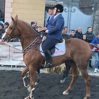 costantinocossuu