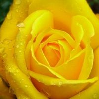asmaa.sami8