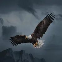 original sound - eaglemindset70