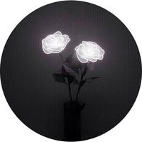 citate_frumoase001