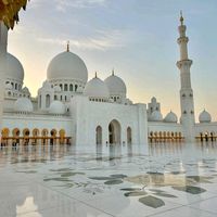 blue_bird360