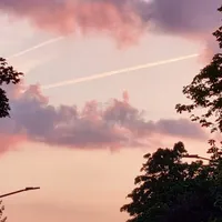 original sound - music4u60