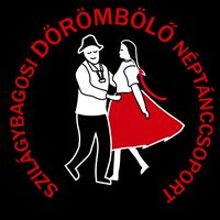 dorombolo_neptanccsoport