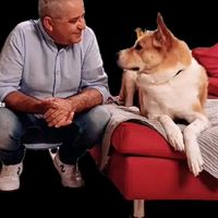 πρωτότυπος ήχος