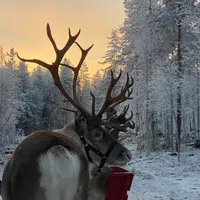 Thank you for using my sound