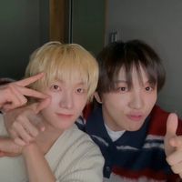 오리지널 사운드 - 태산냥이😺🐠