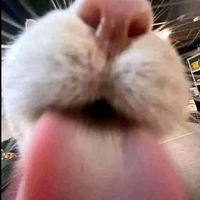 suara asli - FAHMI EXEE