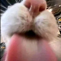 original sound - fahmiexee