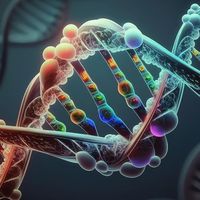 footballgenetic
