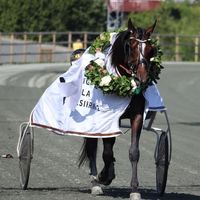 trav_sporten