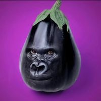 Octopus Garden Oasis