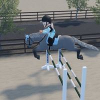 Horsesforlife