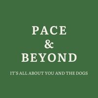 paceandbeyond