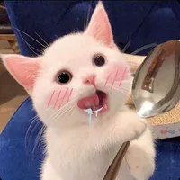 original sound - nhamnhamjt