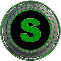 solenyy_top_agency_ro
