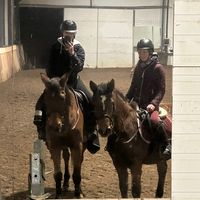 lila_korczak_equine