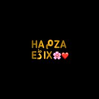 hamza_edix2
