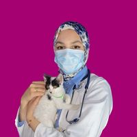 drvetcharlotte092