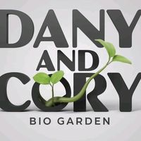 danysicory