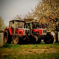 simon_steyr_power