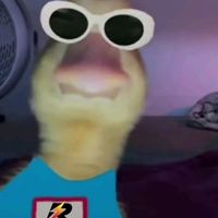 robbbbbbbbbbb11