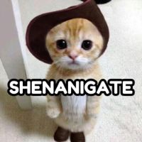 shenanigate22