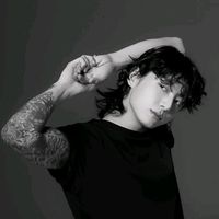 una_kpopstan_normale