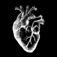 fine line instrumental