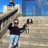 original sound - henrikschatvet