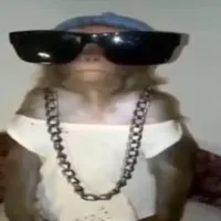 original sound - randomm_acc.xo