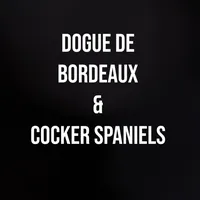 original sound - dogue.de.bordeaux2